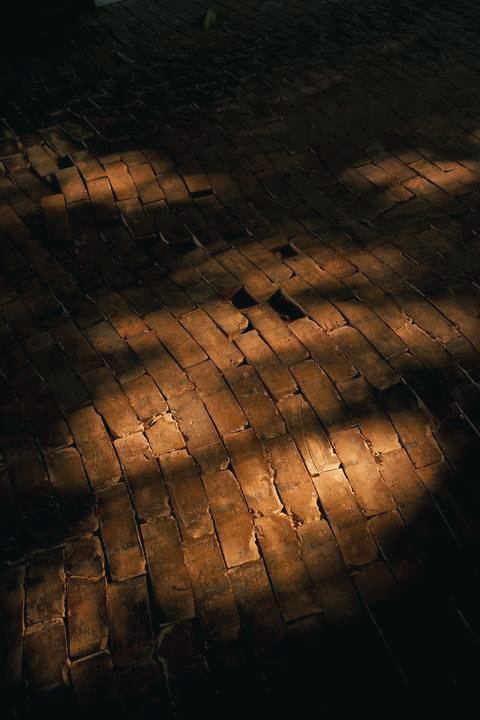 Afternoon shadows